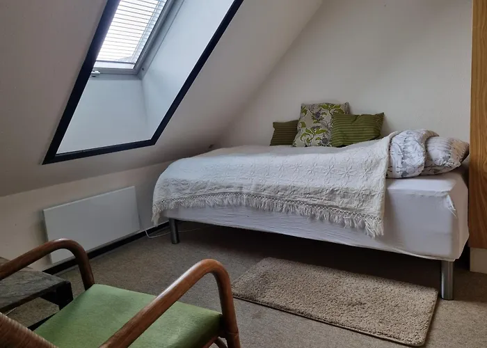 Inn Mikkelborg Rodding