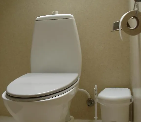 Inn Mikkelborg Rodding